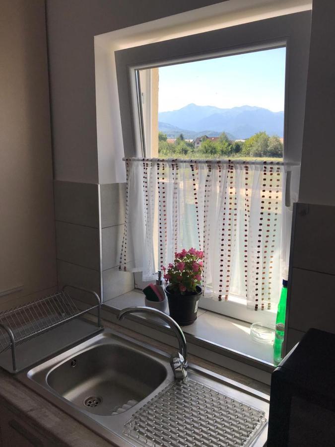 Cazare Apartament Rasnov Apartment ภายนอก รูปภาพ